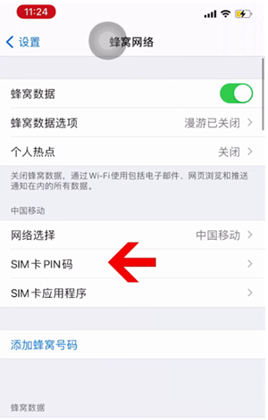 西区街道苹果14维修网分享如何给iPhone14的SIM卡设置密码 