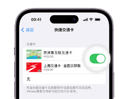 西区街道apple维修点分享iPhone上更换Apple Pay快捷交通卡手绘卡面 