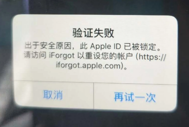 西区街道iPhone维修分享iPhone上正常登录或使用AppleID怎么办 