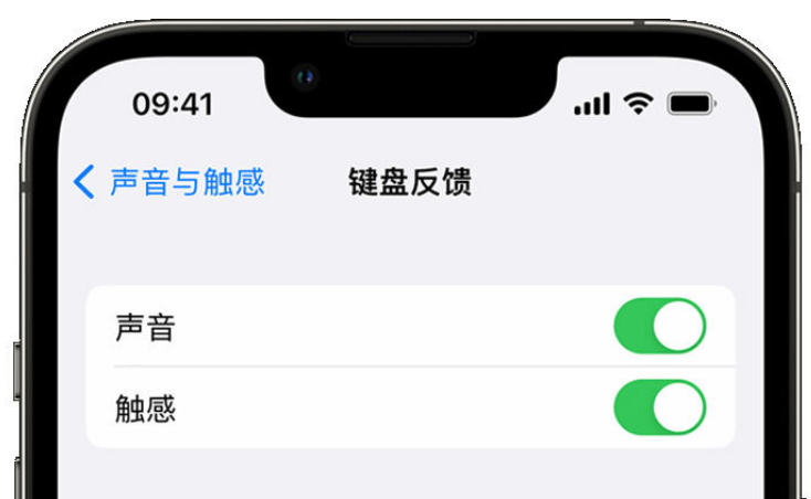 西区街道苹果手机维修分享iPhone 14触感键盘使用方法 