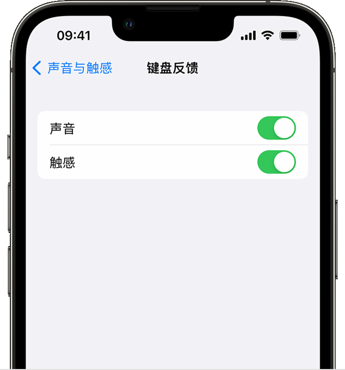 西区街道苹果14维修店分享如何在 iPhone 14 机型中使用触感键盘 