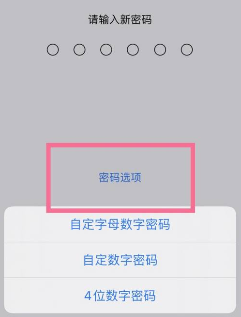 西区街道苹果14维修分享iPhone 14plus设置密码的方法 