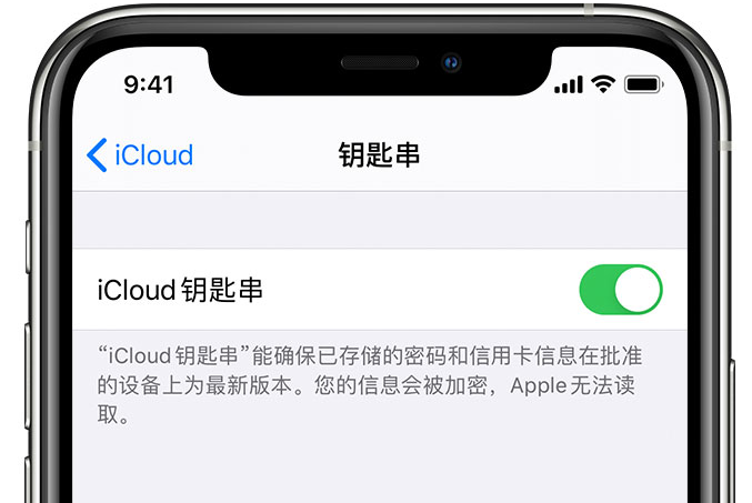 西区街道苹果手机维修分享在 iPhone 上开启 iCloud 钥匙串之后会储存哪些信息 