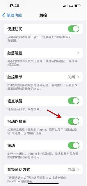 西区街道苹果手机维修分享iPhone手机如何设置摇一摇删除文字 